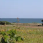 Hedebo Resort