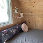 Hedebo