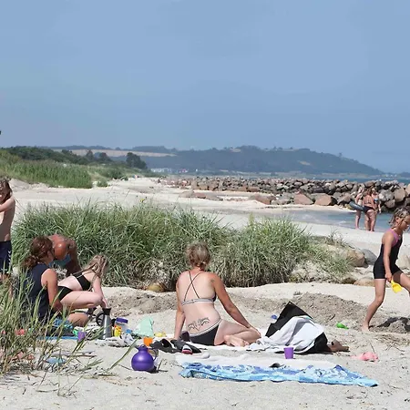 Hedebo