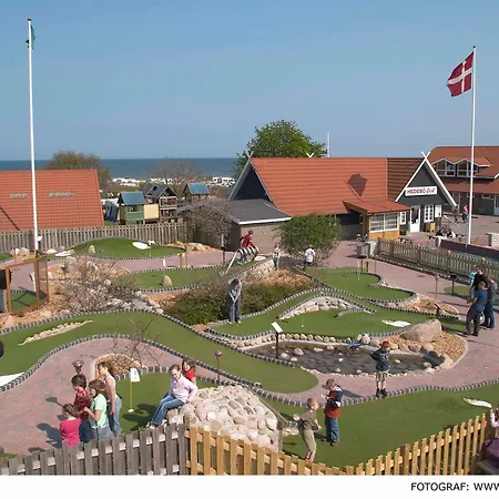 Hedebo