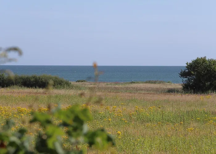 Hedebo منتجع